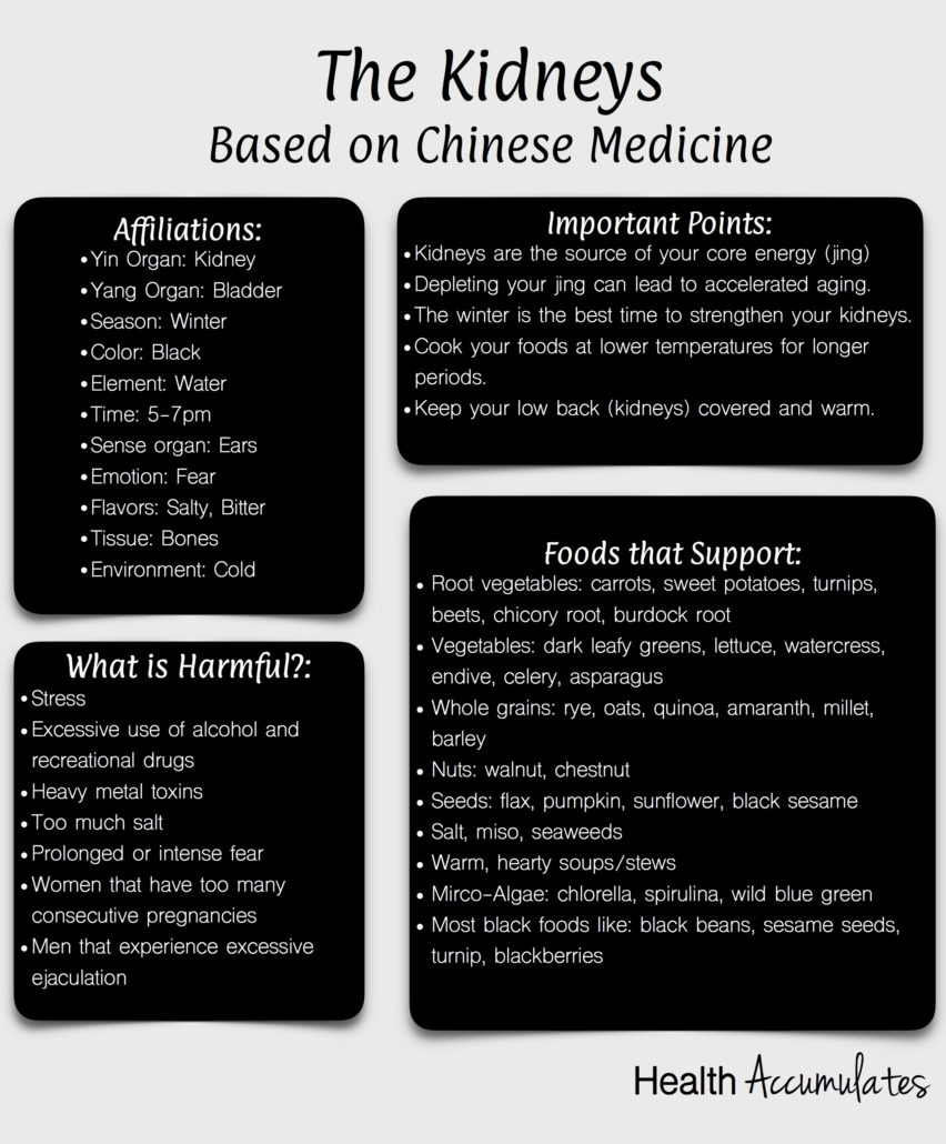 Chinese Medicine Kidneys
